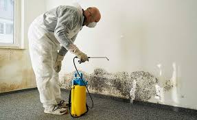 Best Industrial Mold Remediation  in New Cumberland, PA