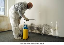 Mold Remediation for Vacation Homes in New Cumberland, PA